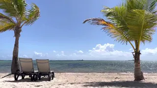 punta cana in 4k 60fps HDR (ULTRA HD)