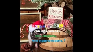 Новый год 2019: как встречать, что надеть, что приготовить ?