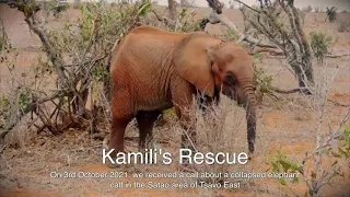 Rescue of Orphaned Elephant Kamili | Sheldrick Trust