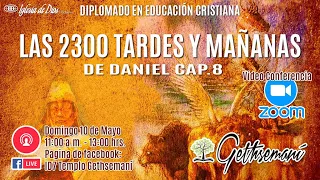 "Las 2300 Tardes y mañanas" de Daniel Cap. 8