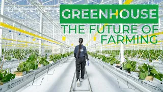 The Future of Farming | Inside A Greenhouse That Harvests ALL YEAR