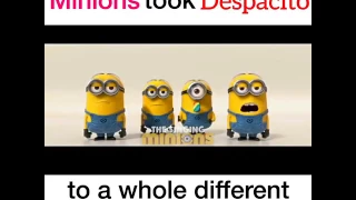 Despacito Minions Version