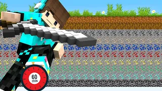 Minecraft Tapi HANYA 60 MENIT DI BUMI 100 LAPIS