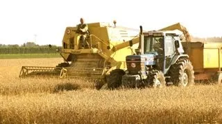 Classic Combine Week #7: New Holland Clayson M140