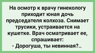 Дочь Председателя на Осмотре у Гинеколога! Сборник Свежих Смешных Жизненных Анекдотов!