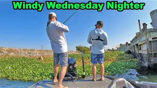 Windy Wednesday Nighters Ep 16 | Tournament of Champions