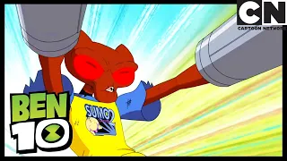 W pogoni za rekordem | Ben 10 Po Polsku | Cartoon Network