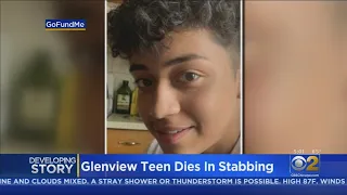 Glenview Teen Dies In Stabbing