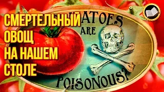 DEADLY VEGETABLE ON OUR TABLE. A poisonous tomato. The harm of tomato. HEALTH from NATURE