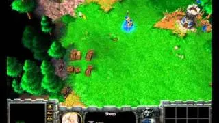 Warcraft 3-how to nuke a sheep