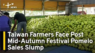 Taiwan Farmers Face Post Mid-Autumn Festival Pomelo Sales Slump | TaiwanPlus News