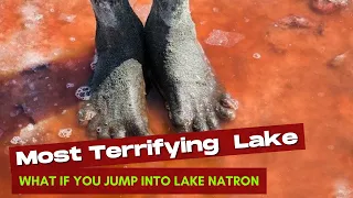 What if you jump into lake natron | Most terrifying lakes on earth | lake natron of Tanzania