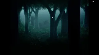 Mr Sandman but its played in a forest at night on a record player.