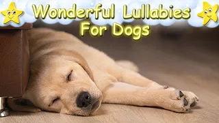 Super Relaxing Sleep Music For Labrador Retriever Puppies ♫ Calm Relax Your Pet ♥