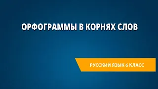 Орфограммы в корнях слов