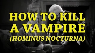 How to kill a Vampire - Supercut