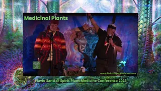 He tells it as it is. Elder Knowledge of Medicinal Plants with Flavio Santi