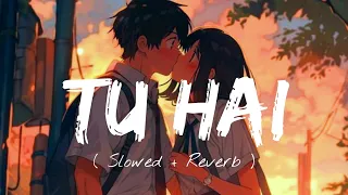 Tu Hai (Slowed + Reverb) | Tu Hai Lofi | Darshan Raval, Prakriti Giri | SA Lofi