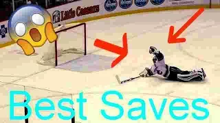 BEST NHL Saves Of 2016-2017 Season (HD)