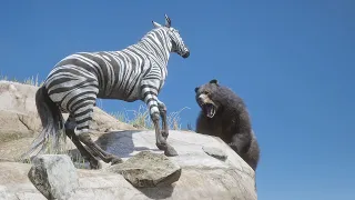 Zebra KICKs Grizzly Bear from The Cliff ▶️ Red Dead Redemption 2 PC 4K