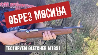 Пневматический обрез Мосина Gletcher M1891 - Тесты, стрельба по бутылкам.