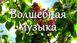 Волшебная музыка только в Волшебном саду! Красивая музыка для души