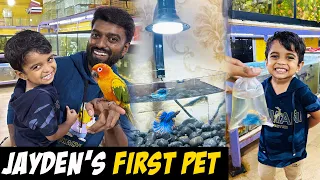 First Vlog with Jayden 👦 He Got his New Beta Fish Aquarium !! DAN JR VLOGS