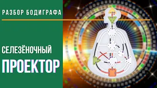 Селезеночный ПРОЕКТОР. Разбор бодиграфа. Дизайн Человека