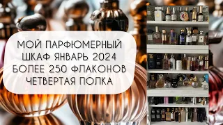 ВЫ ЭТО ЖДАЛИ! МОЙ ПАРФЮМЕРНЫЙ ШКАФ 2024 ЧЕТВЕРТАЯ ПОКА ЗАКЛЮЧИТЕЛЬНАЯ БОЛЕЕ 250 ФЛАКОНОВ