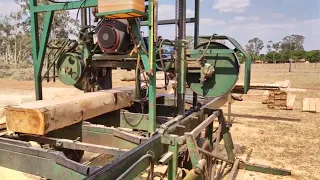 serraria movel serrando eucalipto no Mato Grosso com serra estiletada