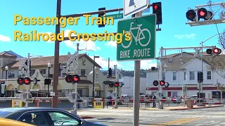 Railroad Crossings Of Transit Owned Passenger Train Lines