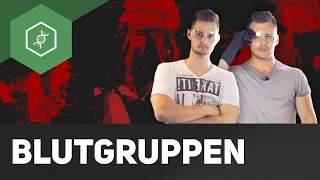 Blutgruppen bestimmen – Live Experiment