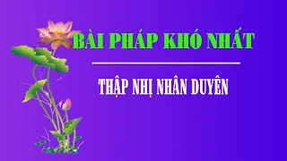 Pháp Hành 37: HIỂU ĐÚNG VỀ MƯỜI HAI NHÂN DUYÊN