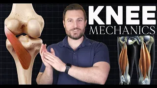 The Muscle that Unlocks the Knee: Screw Home Mechanism Explained | Corporis