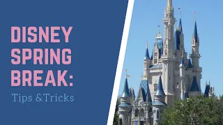 Disney World Spring Break Tips and Tricks