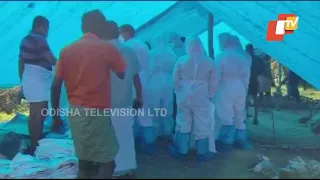 Bird Flu Scare | Bird Culling In Alapuzha, Kerala