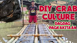 Napakadaling DIY Crab Culture Fattening, sa halagang 3,000 makakapagsimula ka na