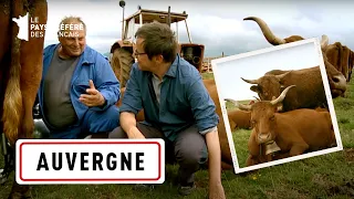 Préserver les traditions dans la traite des vaches en Auvergne - Au P'tit bonheur la France - CTB