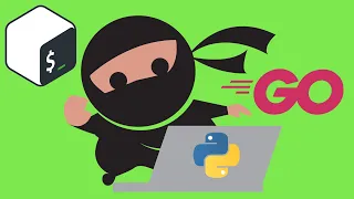 The Best Coding Languages for Hackers - [On Python, Golang, Bash]