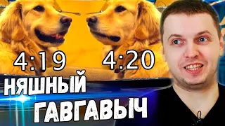 ПАПИЧ ОРЁТ с ГАВГАВЫЧА! НАЙС ПЁСИК! ПАПИЧ СМОТРИТ ВИДОСИКИ