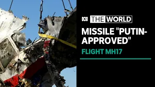 Vladimir Putin’s “fingerprints all over” shooting down of MH17 | The World