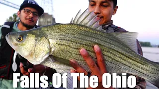 Fishing Dangerous water for Big Hybrid Bass! | Falls of the Ohio, lower gates