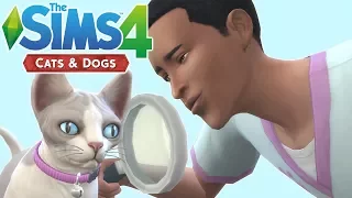HOW TO VET - The Sims 4 Cats and Dogs | Veterinary Career Walkthrough