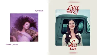 running up that hill/lust for life - kate bush/lana del rey ft. the weeknd (mashup)