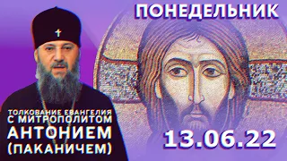 Толкование Евангелия с митрополитом Антонием (Паканичем). Понедельник, 13 июня 2022 года
