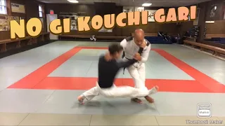 No Gi Kouchi gari with and with out ankle pick. Use it to throw or set up another throw.