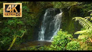 A Calm Waterfall, New Zealand, Brightness Dims after 1hour