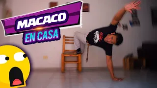 👉Cómo ENTRENAR MACACO en CASA? Entrenamienton FUNCIONAL de CAPOEIRA para PRINCIPIANTES 2020 🙊