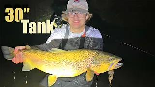 GIANT DRIFTLESS BROWN AT NIGHT ( 27 inches on the fly rod 5wt)