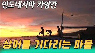 인도네시아 카양간 상어를 기다리는 마을 [세상실험] KBS 2010.01.13 방송